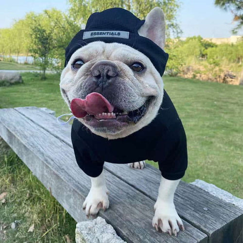 Essentials Dog Clothes