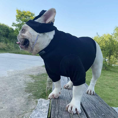 Essentials Dog Clothes