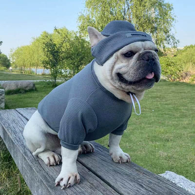 Essentials Dog Clothes