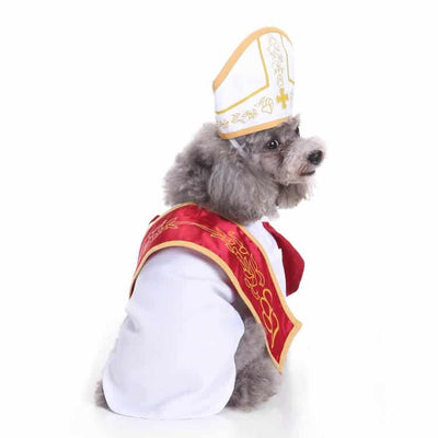 Funny Dog Costumes