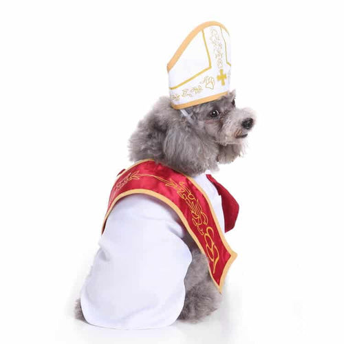 Funny Dog Costumes