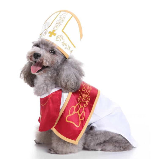 Funny Dog Costumes