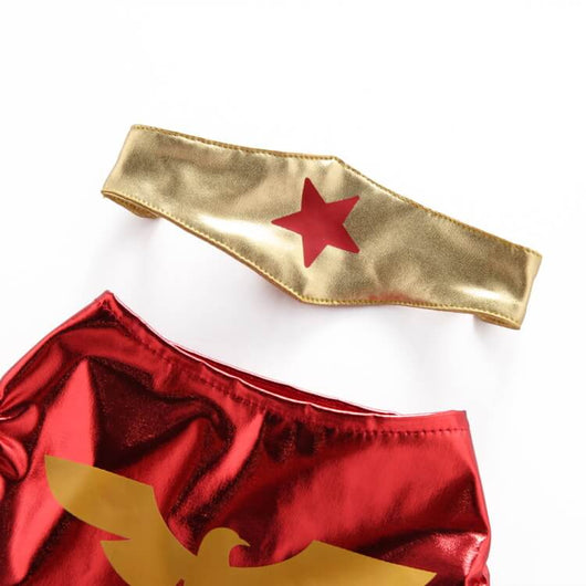 Hawkman Dog Fancy Costumes