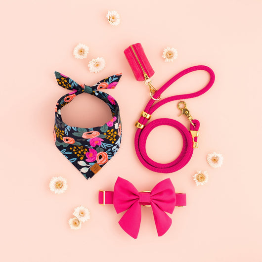 Hot Pink Bow Collar Set