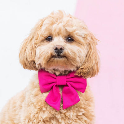 Hot Pink Bow Collar Set