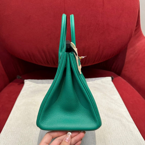Birkin 25 Velvet Green Luxury Bag