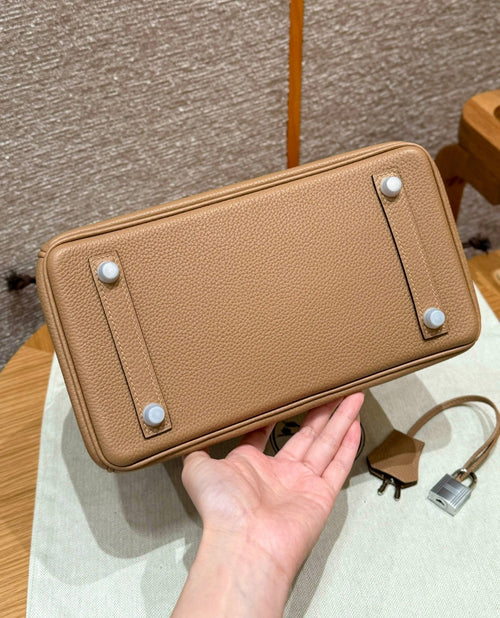 Birkin 25 Chai Luxury Bag