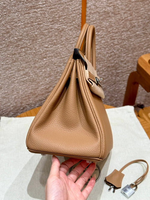 Birkin 25 Chai Luxury Bag