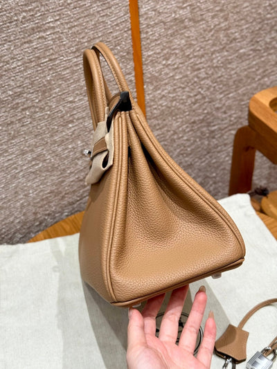 Birkin 25 Chai Luxury Bag