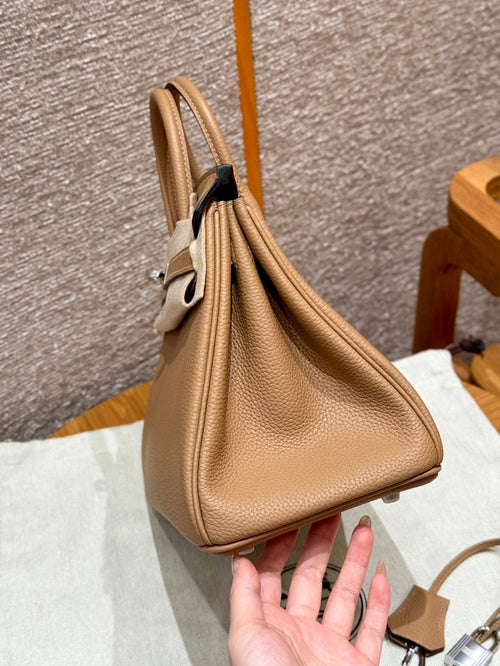 Birkin 25 Chai Luxury Bag