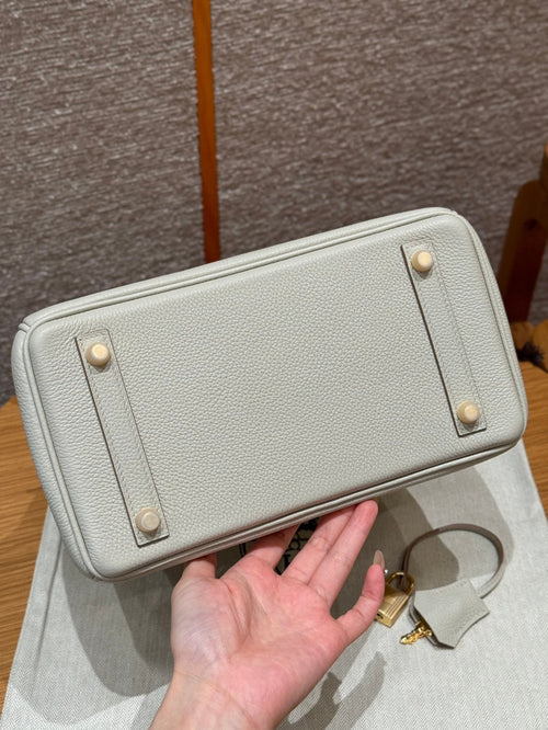 Birkin 25 Beton Luxury Bag
