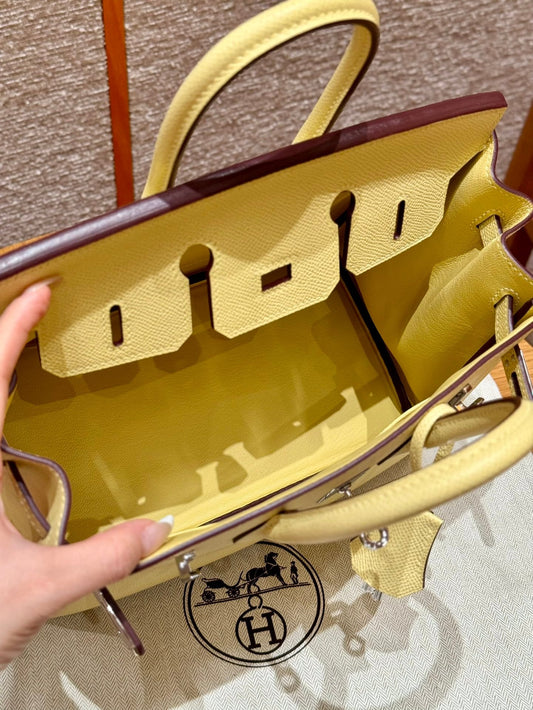 Birkin 25 Jaune Poussin Luxury Bag