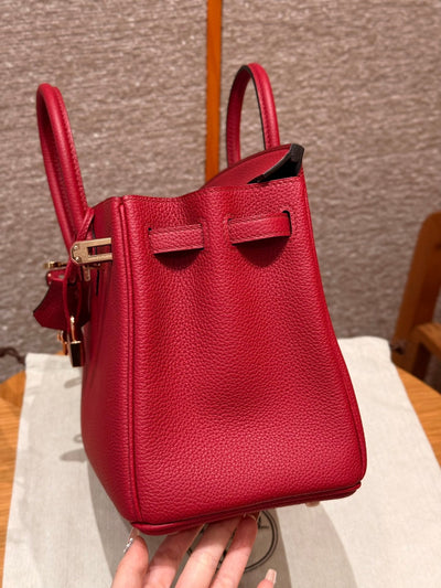 Birkin 25 Ruby Luxury Bag