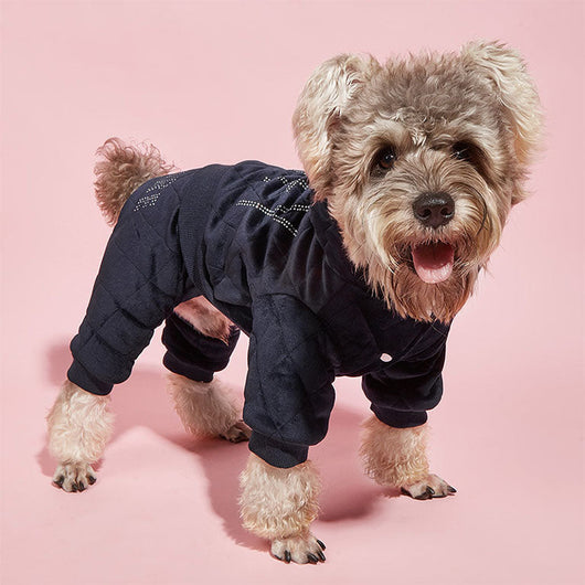 Couture Dog Rawcut Tracksuit