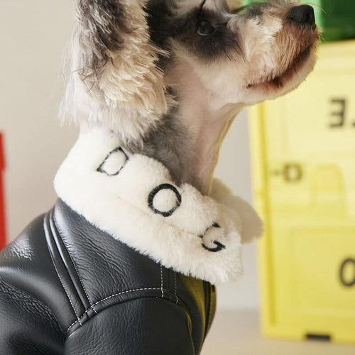 Black Leather Dog Posh Coat