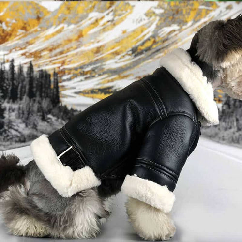 Black Leather Dog Posh Coat