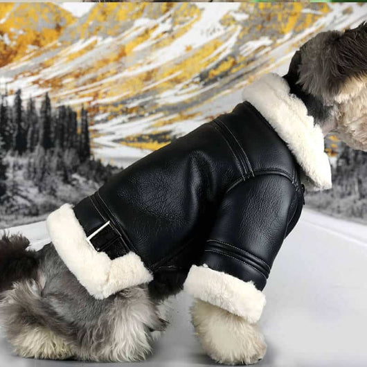 Black Leather Dog Posh Coat