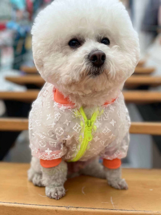 Luxury Dog Fashion Hot Jacket