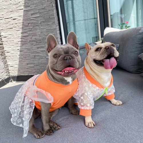 Luxury Dog Fashion Hot Jacket