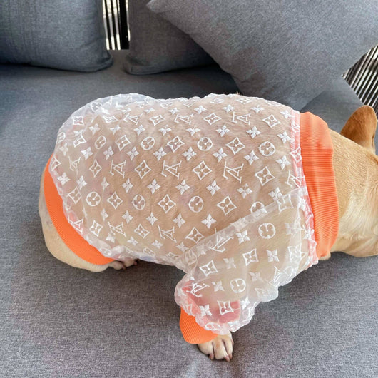 Luxury Dog Fashion Hot Jacket