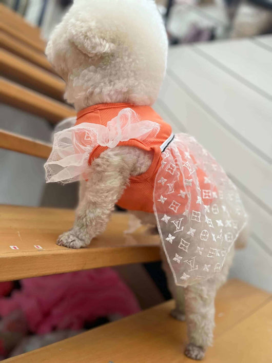 Luxury Dog Fashion Hot Jacket