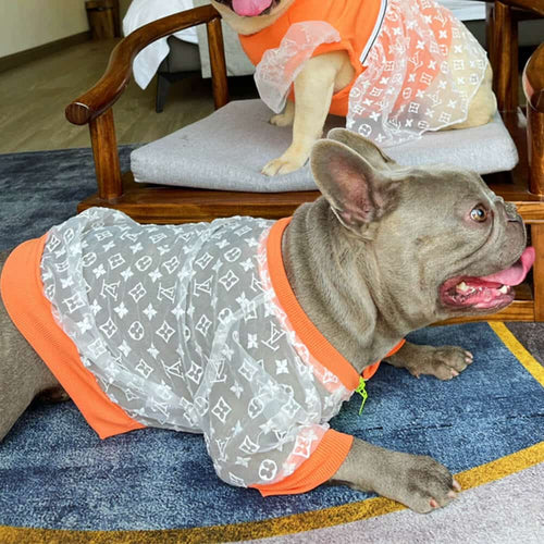 Luxury Dog Fashion Hot Jacket