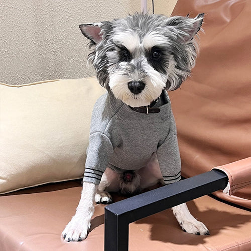 Luxury Dog Lit Apparel