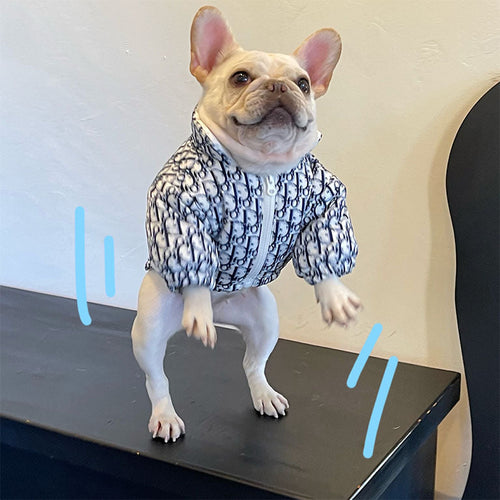 Luxury Dog Rain Jacket Dog Cotton Vibrant Clothes