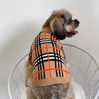 Medium Dog Edgy Clothes