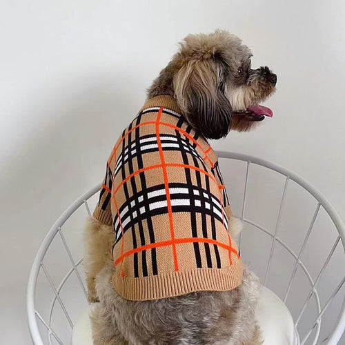Medium Dog Edgy Clothes