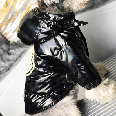 Cool Winter Dog Fire Downjacket