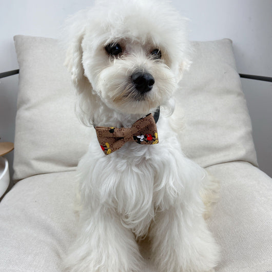 Doggy Lux Offbeat Tie