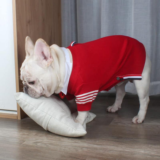 Pet Raw Sweaters