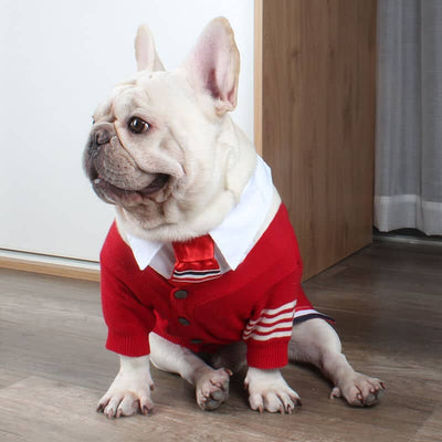 Pet Raw Sweaters