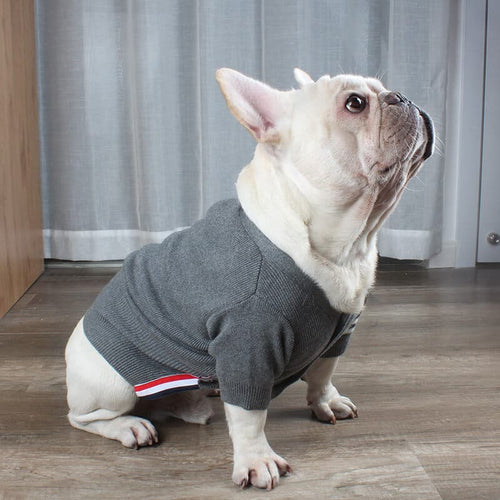 Pet Raw Sweaters