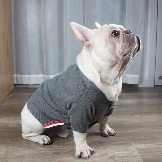 Pet Raw Sweaters