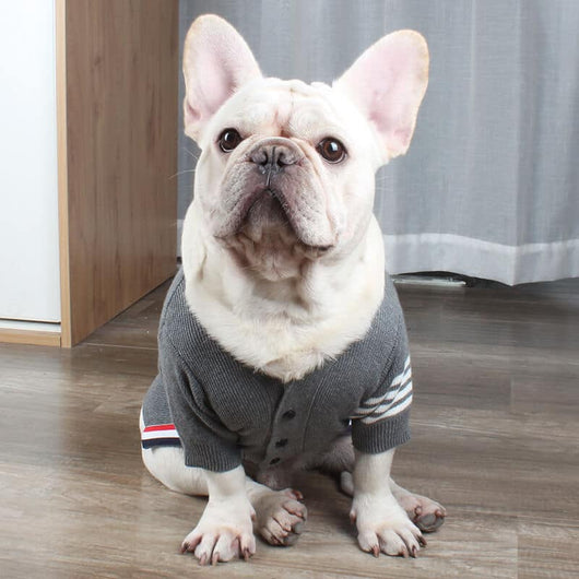 Pet Raw Sweaters