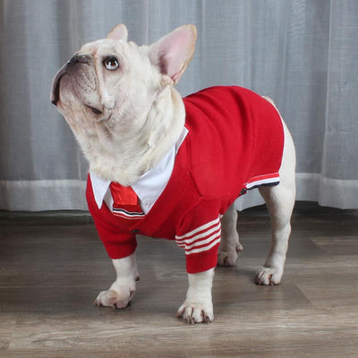 Pet Raw Sweaters