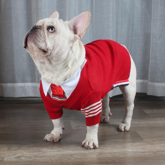 Pet Raw Sweaters