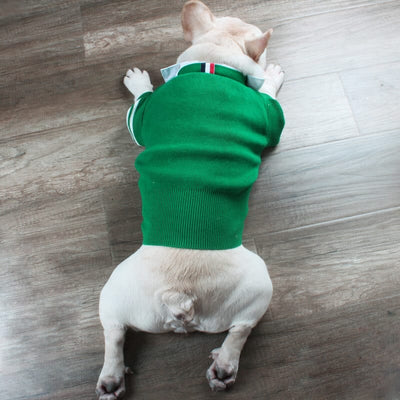 Pet Raw Sweaters