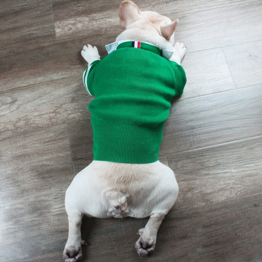 Pet Raw Sweaters