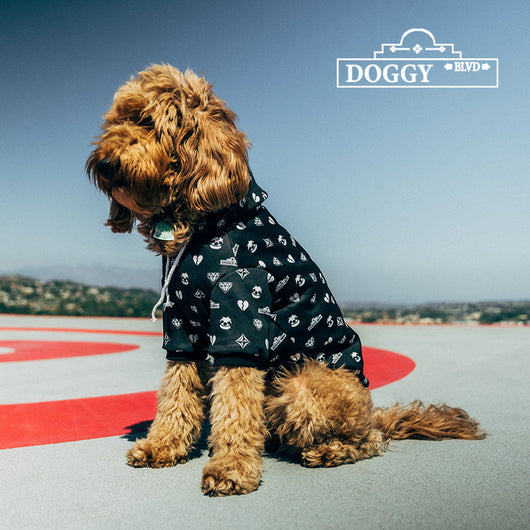 Premium Black Patterned Dog Hoodie for Pets
