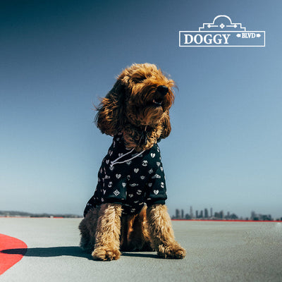 Premium Black Patterned Dog Hoodie for Pets