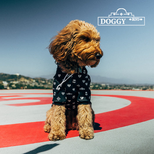 Premium Black Patterned Dog Hoodie for Pets