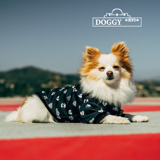 Premium Black Patterned Dog Hoodie for Pets