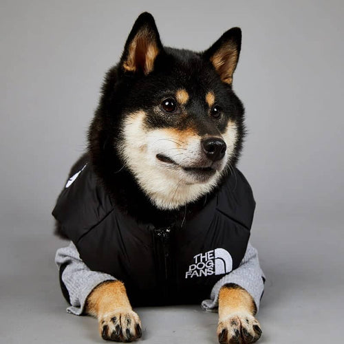 Black Puffer Jacket Dog Fresh Coat