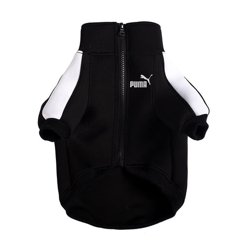Ruma Dog Fashion Unseen Jacket