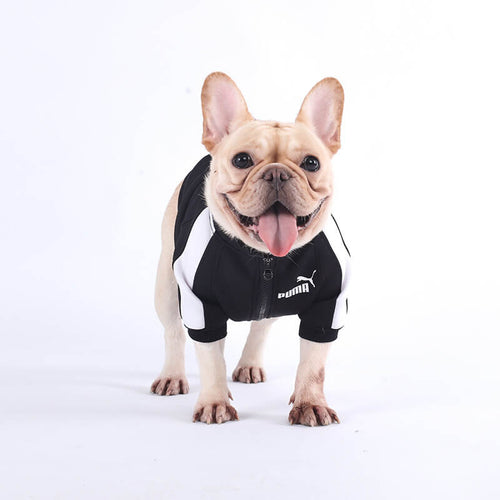 Ruma Dog Fashion Unseen Jacket