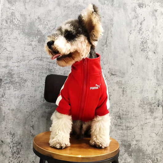 Ruma Dog Fashion Unseen Jacket