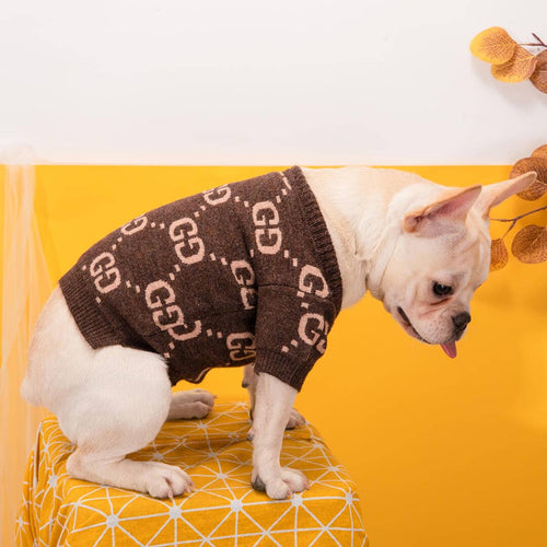 Luxury Coffee Puppy Fire Sweater